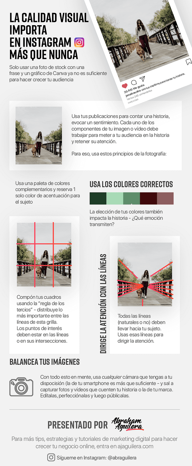 Infografía - La calidad de tus imagenes importa para crecer en Instagram - 3